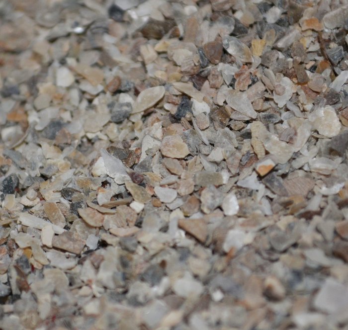 Massive Baits – Fine Oystershell Crushed – Komponent
