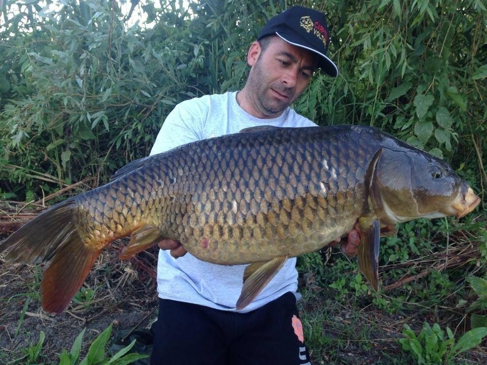 KATRAN-TARANTUL-25lb-20m-Katran-Carp-ProduktyPlecionki-PrzyponoweFluorocarbon-4