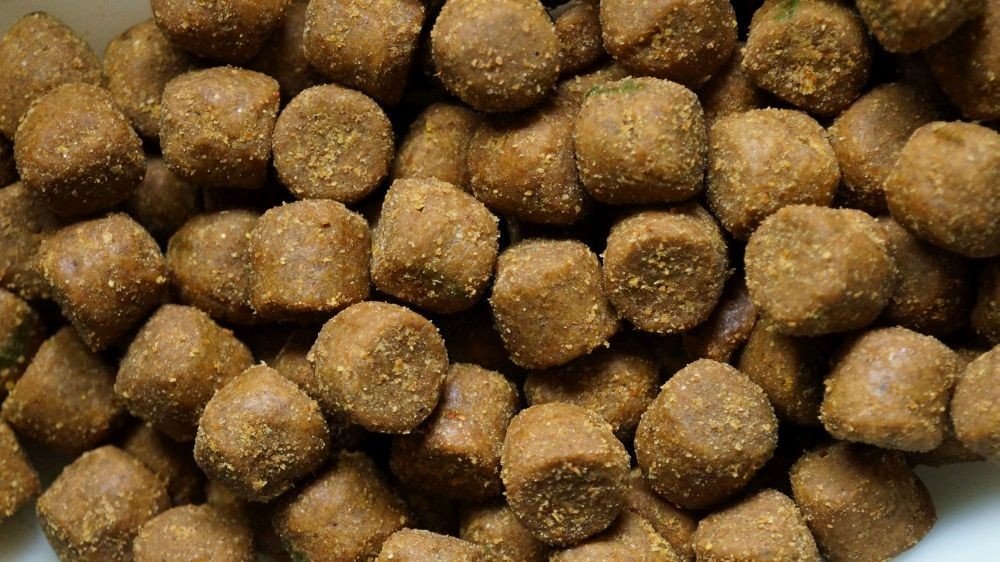 GENESIS CARP Pellet Orzech Tygrysi 10mm 1kg