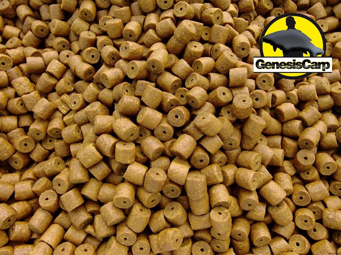 GENESIS CARP Pellet Pomarańcza 10mm 5kg