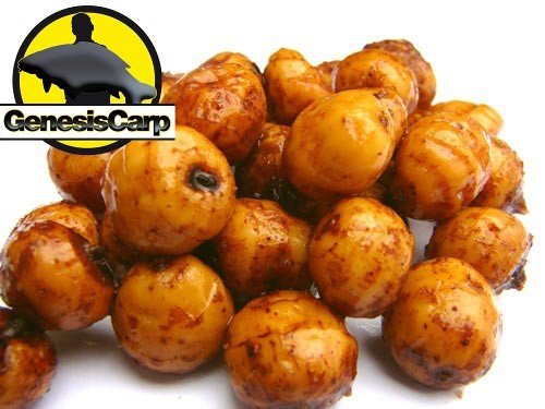 GENESIS CARP Orzech Tygrysi Tiger Nuts Czaki 1kg