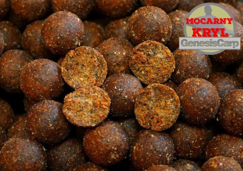 Genesis Carp Mocarny Kryl 20mm 10kg