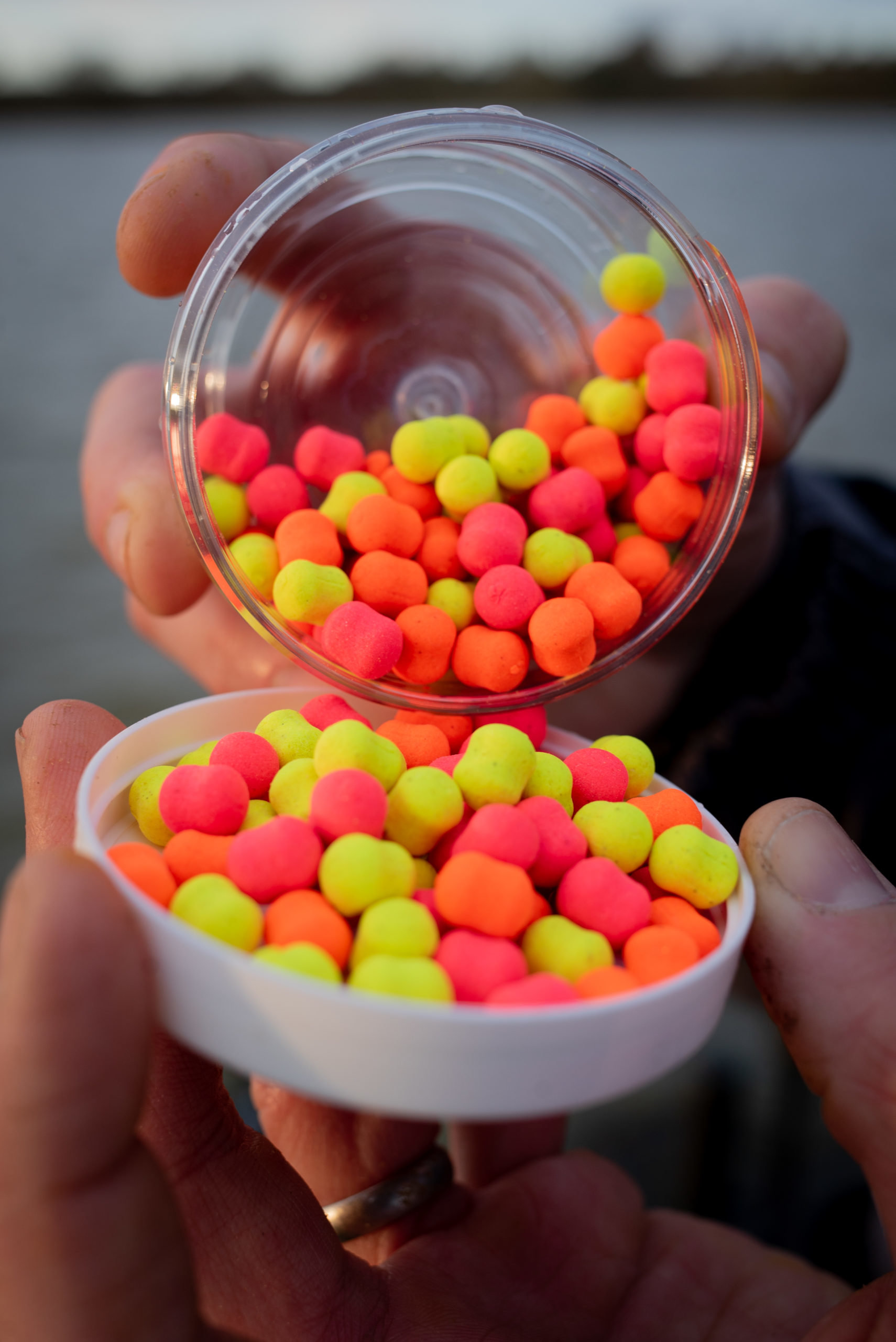 Sonubaits Band’Um Wafters – Fluoro 6Mm – S1810097