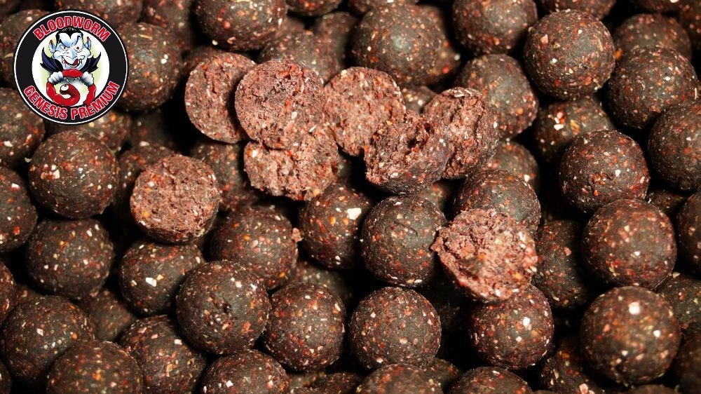 GENESIS-CARP-Bloodworm-15mm-5kg-1kg-GRATIS-Genesis-Carp-Kulki-proteinowe-zanetowePrzynetyZanety-1