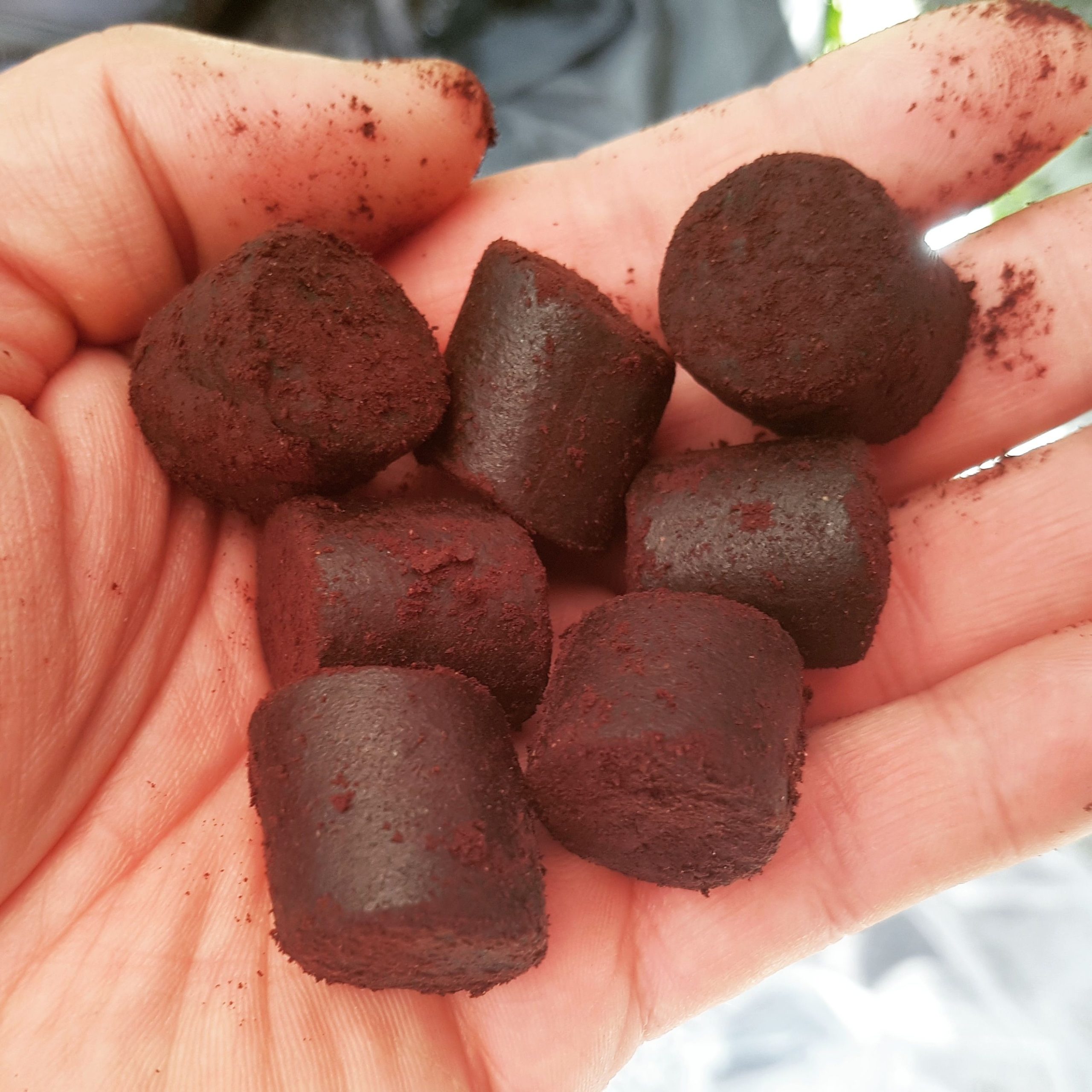 GENESIS CARP Pellet Blood Halibut SUM/KARP 18mm 1kg