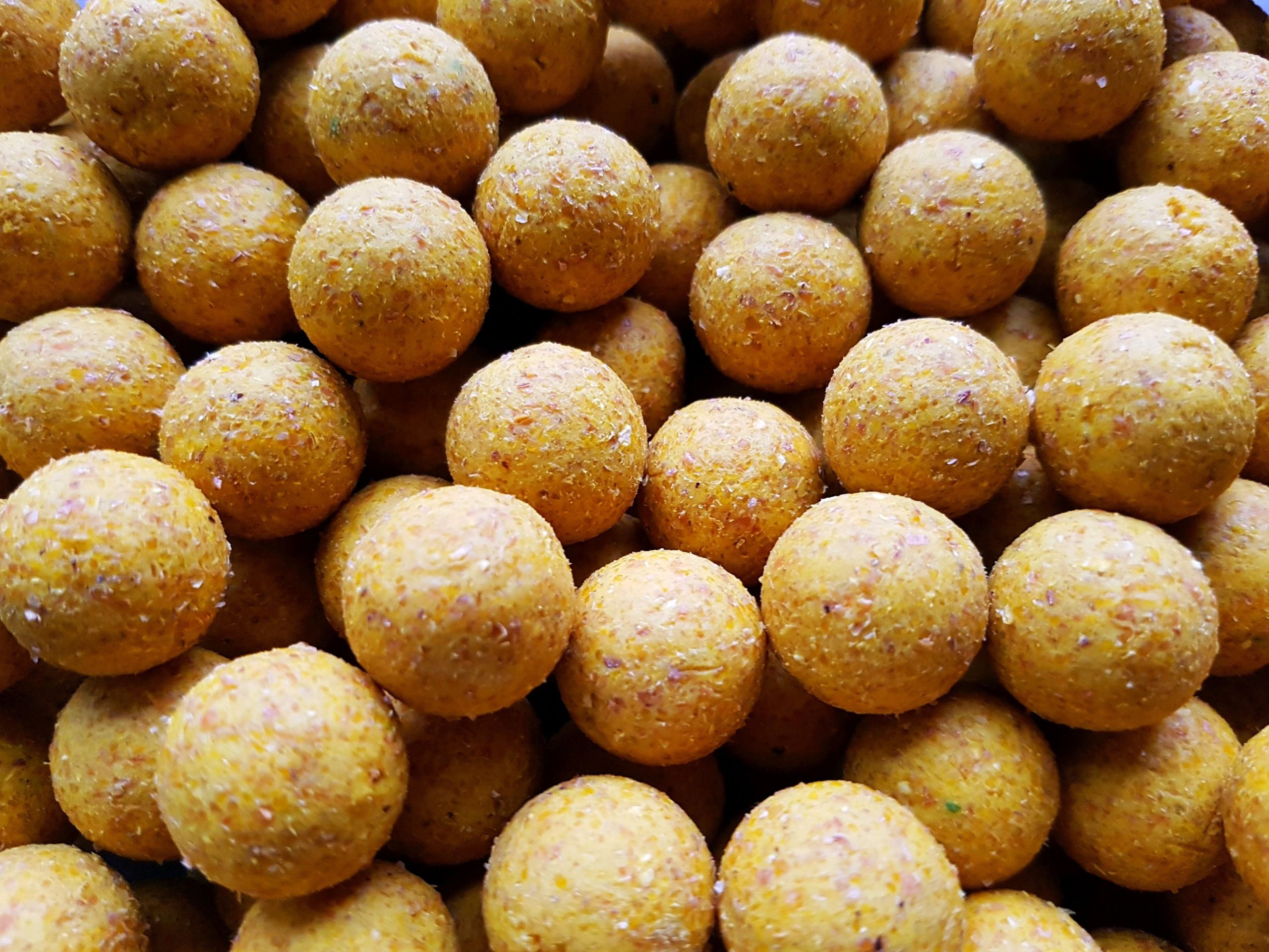 Genesis Carp Scopex 20mm 1kg