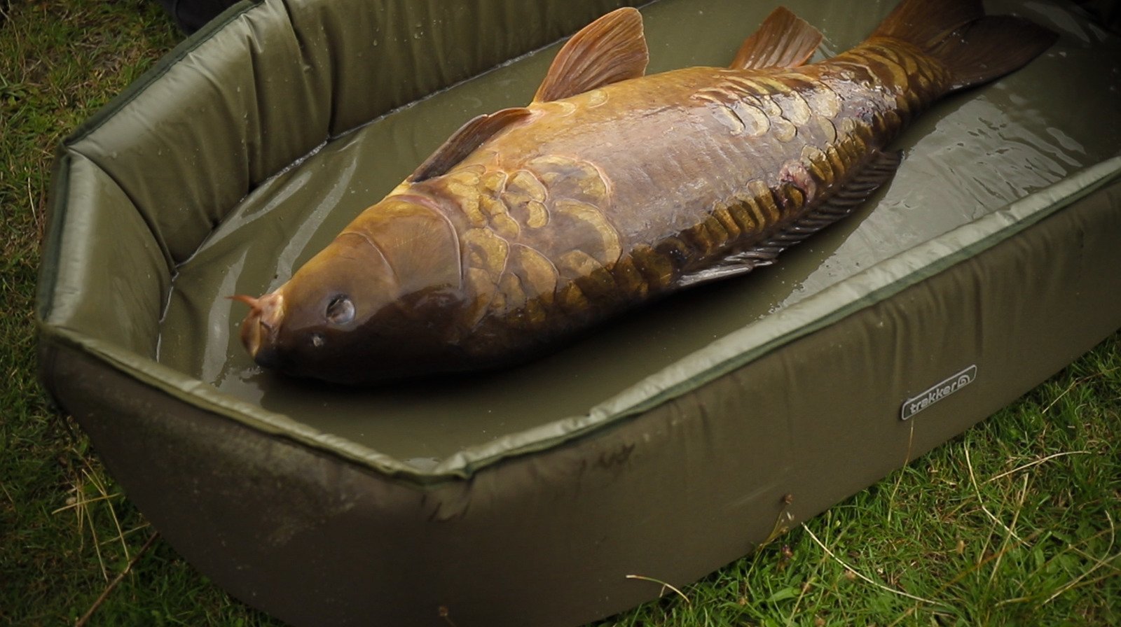 Trakker-Sanctuary-Self-Inflating-Crib-XL-Mata-karpiowa-samopompujaca-sie-1