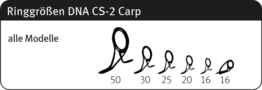 ringe-dna-cs2-deutsch-1024×351-1