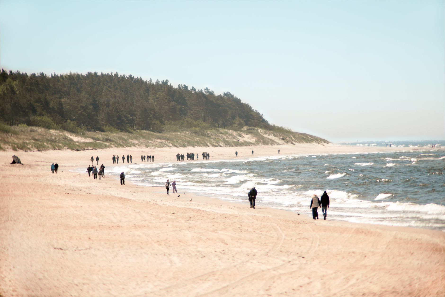 Spacerujące osoby na spokojnej plaży z lasem w tle nad Bałtykiem